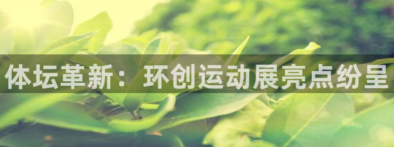 杏悦体育和杏耀是哪个公司的