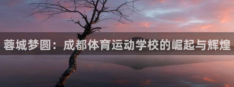杏悦体育注册代理：蓉城梦圆：成都体育运动学校的崛起与辉煌