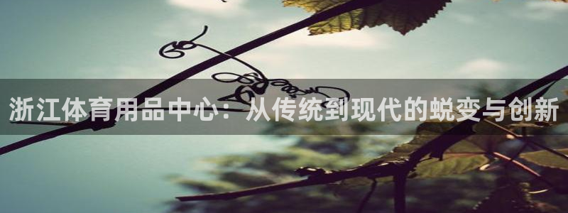 杏悦股份：浙江体育用品中心：从传统到现代的蜕变与创新
