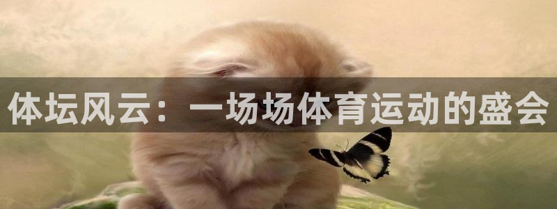杏悦注册官网：体坛风云：一场场体育运动的盛会
