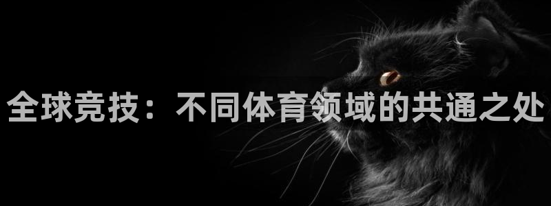 杏悦体育app下载：全球竞技：不同体育领域的共通之处