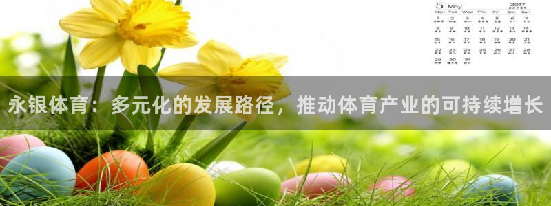杏悦体育2官网入口：永银体育：多元化的发展路径，推动体育产业的可持续增长