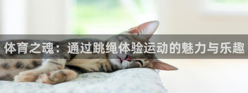 杏悦凯捷平台注册链接：体育之魂：通过跳绳体验运动的魅力与乐趣