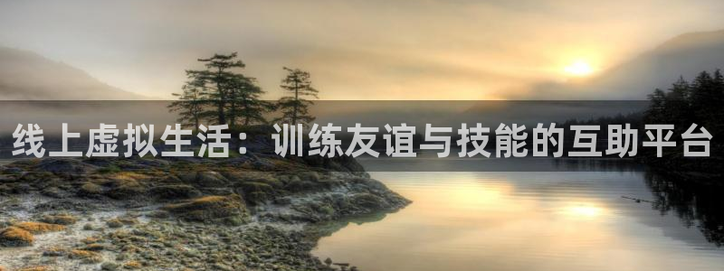 杏悦包怎么样：线上虚拟生活：训练友谊与技能的互助平台