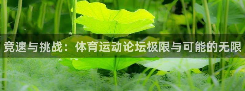 杏悦4平台注册：竞速与挑战：体育运动论坛极限与可能的无限