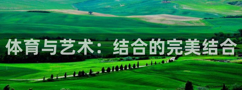 杏悦集团总部：体育与艺术：结合的完美结合