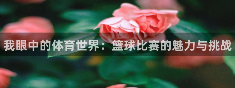 杏悦f凯捷平台在线注册：我眼中的体育世界：篮球比赛的魅力与挑战