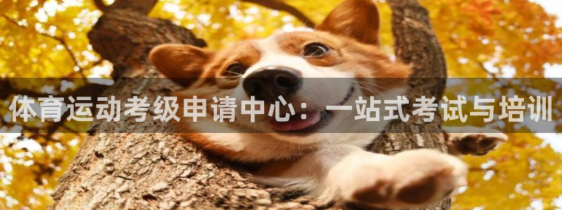 杏悦4代理