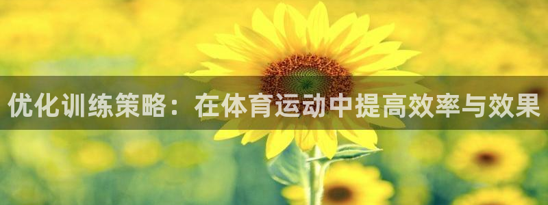 杏悦集团股票：优化训练策略：在体育运动中提高效率与效果