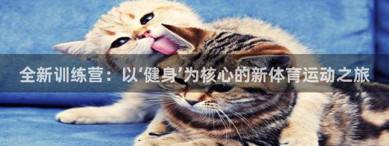 杏悦2登录入口：全新训练营：以‘健身’为核心的新体育运动之旅