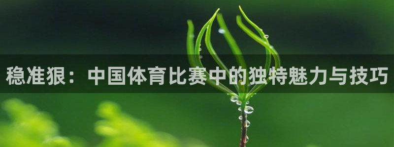 杏悦集团总部