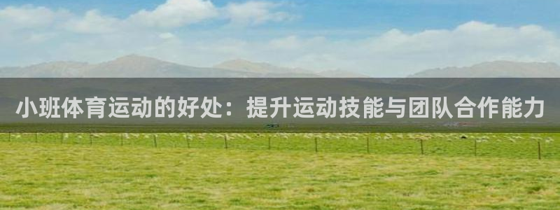 杏悦体育免费注册入口：小班体育运动的好处：提升运动技能与团队合作能力