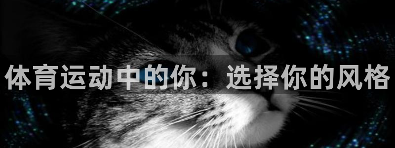 杏悦体育凯捷平台招商：体育运动中的你：选择你的风格