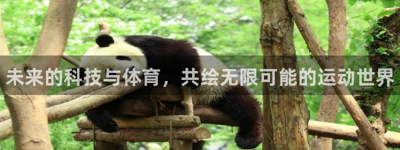 杏悦体育f开户：未来的科技与体育，共绘无限可能的运动世界