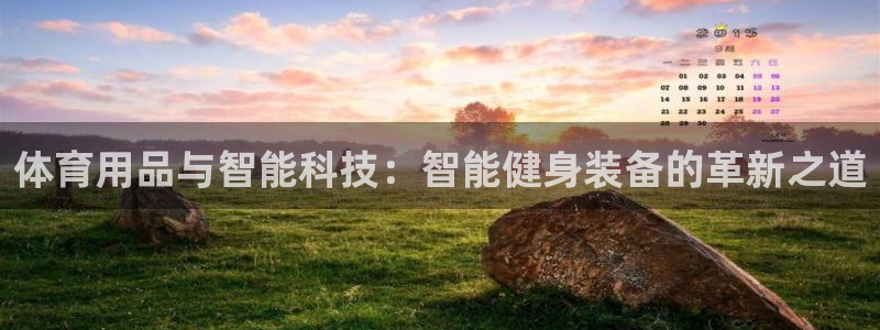 杏悦股份：体育用品与智能科技：智能健身装备的革新之道