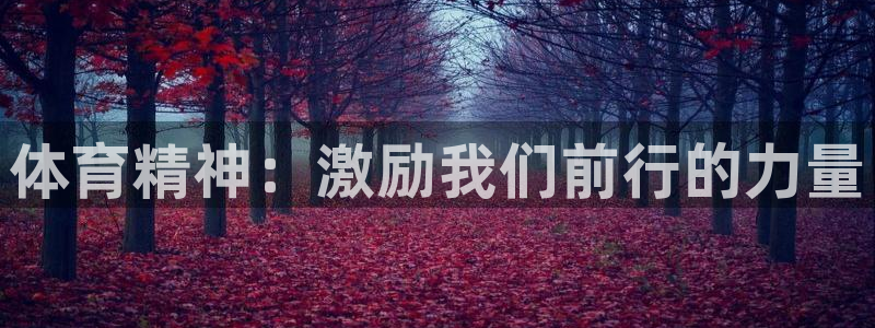 杏悦招商：体育精神：激励我们前行的力量