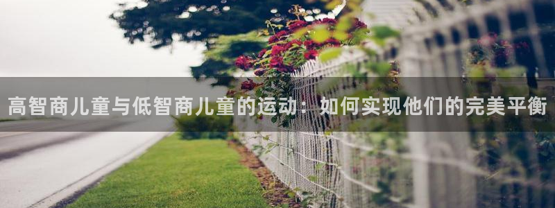 杏悦f凯捷平台在线注册：高智商儿童与低智商儿童的运动：如何实现他们的完美平衡