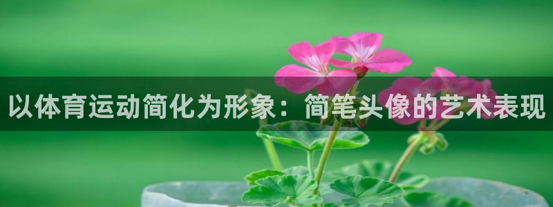 杏悦3官网：以体育运动简化为形象：简笔头像的艺术表现