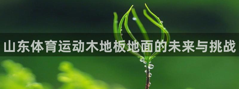杏悦体育代理
