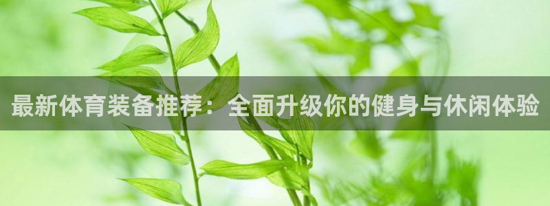 杏悦5